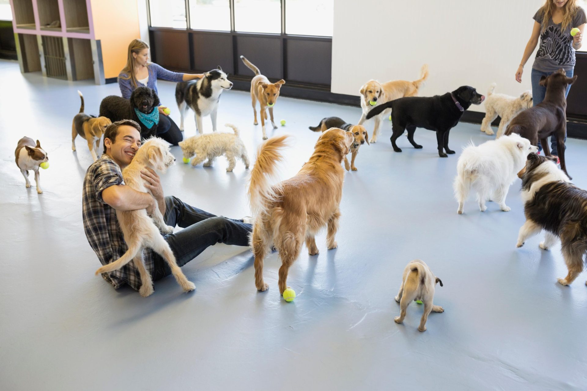 Personas juegan en una sala con multitud de perros